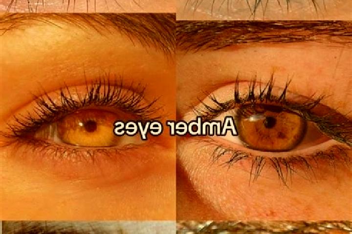 Kinsley, 25, a brunette amber-eyed caucasian companion based in Cortexandra. Offering Erotic Massage, CIM, Overnight. Available for incall and outcall, day a...