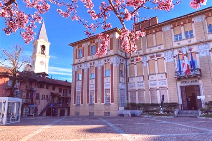 Kinsley, 26 — Escort in Santa Maria di Settimo, Italy