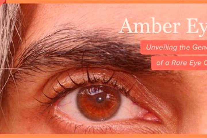 Kinsley, 27, a red amber-eyed slavic companion based in Moasca. Offering A-Level, Domination, CIM, Couples. Available for incall and outcall, overnight booki...