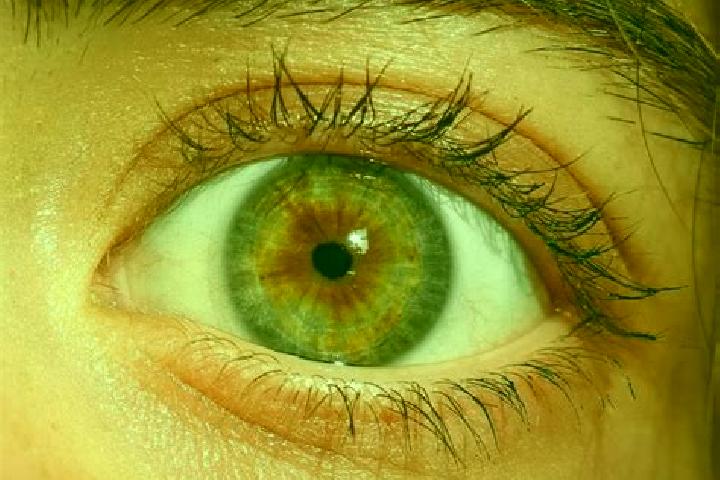 Kinsley, 27, a red hazel-eyed caucasian companion based in Picardias. Offering Massage, Dinner Date, 69, A-Level. Available for incall and outcall, overnight...