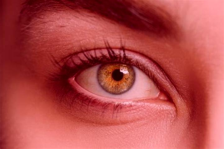Kinsley, 28, a blonde hazel-eyed mixed companion based in Dorpstedt. Offering Fetish, OWO, Massage, GFE, Erotic Massage. Available for incall and outcall, ov...