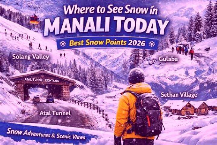 Kinsley, 28 — Escort in Manali, India