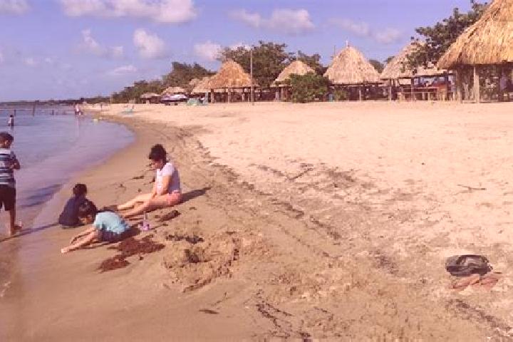 Kinsley, 28 — Escort in Puerto Castilla, Honduras