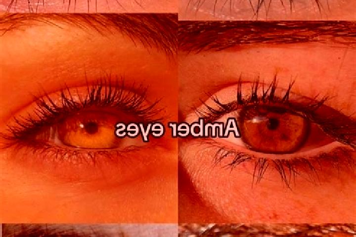 Kinsley, 29, a chestnut amber-eyed slavic companion based in Brebu. Offering BDSM, Massage, Duos. Available for incall and outcall, day and evening dates.