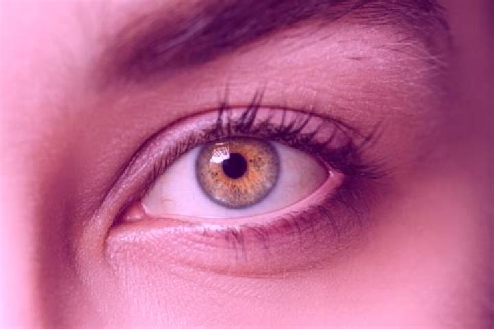 Kinsley, 29, a chestnut hazel-eyed mixed companion based in Banawa. Offering CIM, Travel Companion, Domination, Girlfriend Experience, A-Level. Available for...