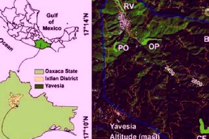 Kinsley, 29 — Escort in Santa Maria Yavesia, Mexico