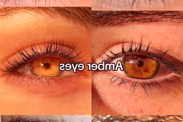 Kinsley, 30, a chestnut amber-eyed mixed companion based in Ilagan. Offering Travel Companion, Girlfriend Experience, Couples. Available for incall and outca...