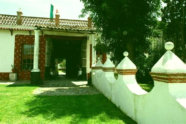 Kinsley, 30 — Escort in Ex- Hacienda de Ocotza, Mexico