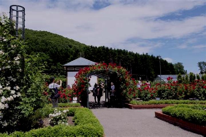 Kinsley, 30 — Escort in Iwamizawa, Japan