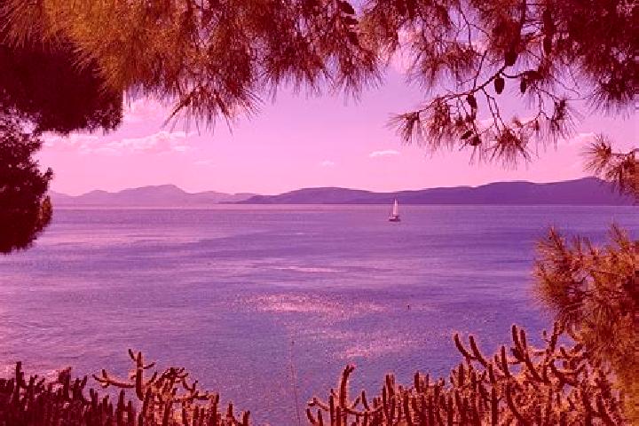 Kinsley, 31 — Escort in Polydendri, Greece