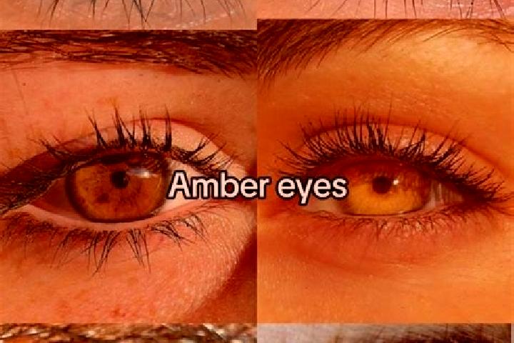Kinsley, 33, a chestnut amber-eyed mediterranean companion based in Ababuj. Offering CIM, Massage, Girlfriend Experience. Available for incall and outcall, o...