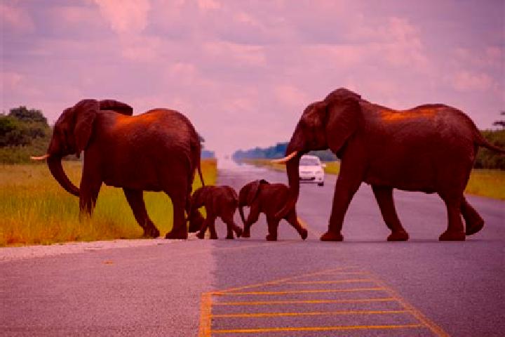 Kinsley, 33 — Escort in Shakgwe, Botswana