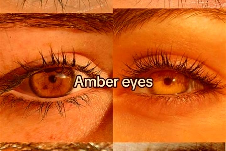 Kinsley, 35, a chestnut amber-eyed asian companion based in Jonesburg. Offering Deep French Kissing, 69, GFE, Massage, Striptease. Available for incall and o...