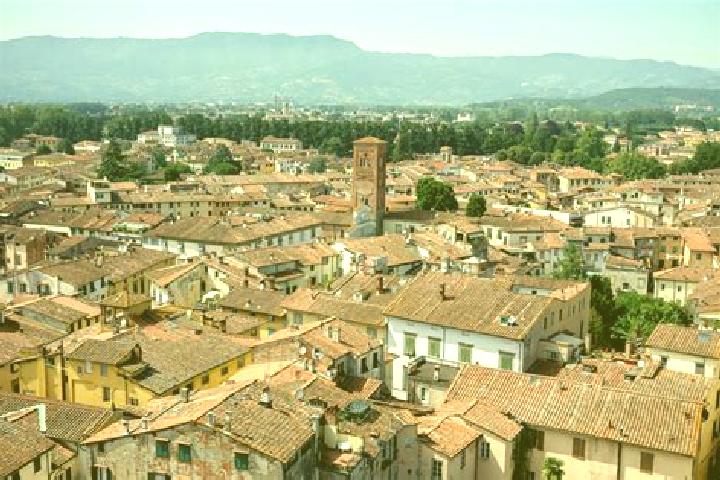 Kinsley, 35 — Escort in Lucca Sicula, Italy