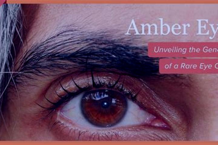 Kinsley, 36, a black amber-eyed mixed companion based in Plerin. Offering Dinner Date, Striptease, BDSM, Overnight. Available for incall and outcall, day and...
