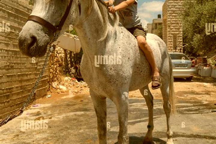 Kinsley, 37 — Escort in Bayt Surik, Palestine