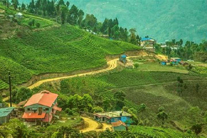 Kinsley, 37 — Escort in Ilam, Nepal