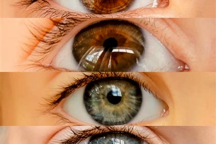 Kinsley, 38, a chestnut dark-eyed mixed companion based in Ilha Solteira. Offering 69, OWO, CIM. Available for incall and outcall, day and evening dates.