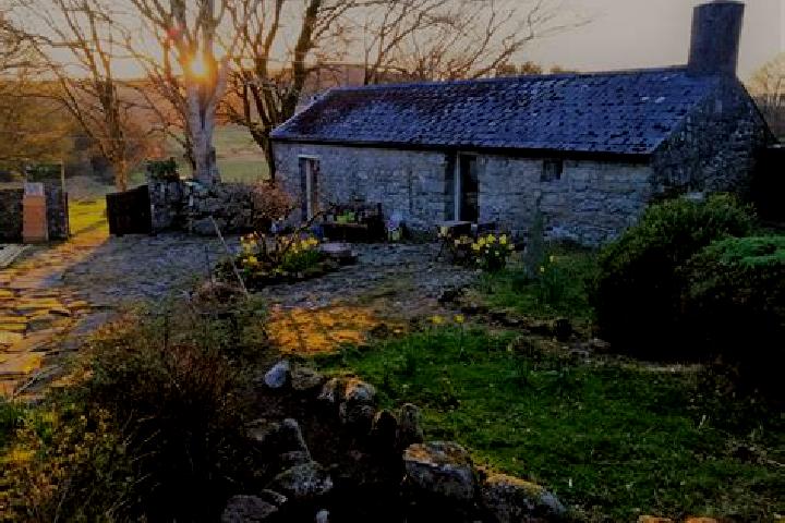 Kinsley, 38 — Escort in Buttevant, Ireland