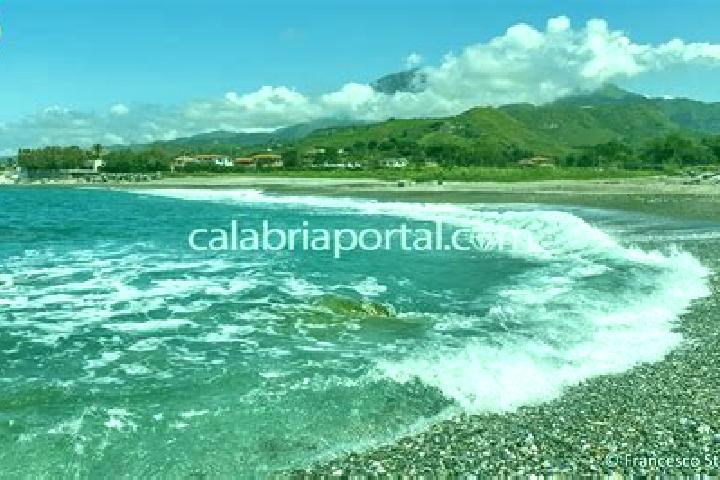 Kinsley, 39 — Escort in Sangineto Lido, Italy