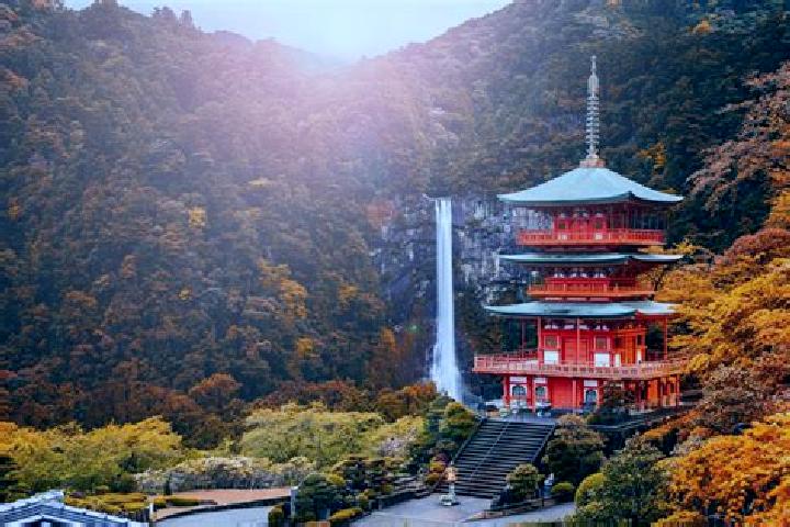 Kinsley, 39 — Escort in Wakayama, Japan