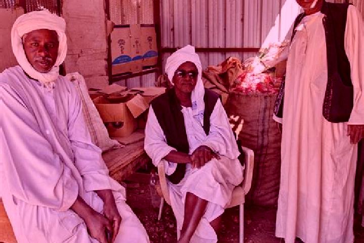 Layla, 20 — Escort in Burri Al Mahas, Sudan