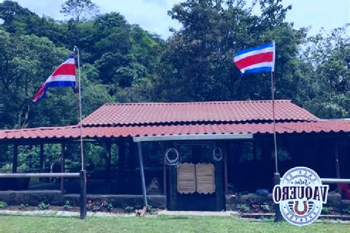 Layla, 20 — Escort in Patarra, Costa Rica