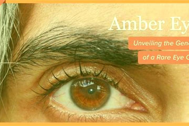 Layla, 21, a red amber-eyed european companion based in Nimetska Mokra. Offering A-Level, 69, Overnight. Available for incall and outcall, overnight bookings...