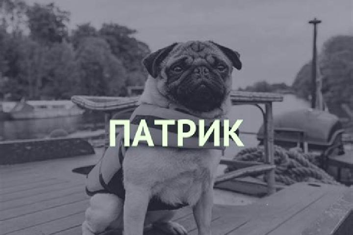 Layla, 21 — Escort in Staryy Cherek, Russia