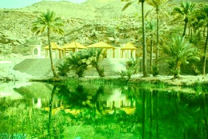 Layla, 21 — Escort in Sur, Oman