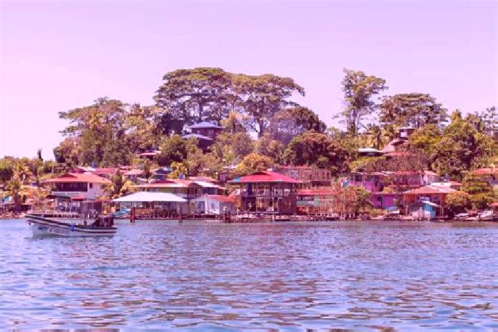 Layla, 22 — Escort in Isla Bastimentos, Panama