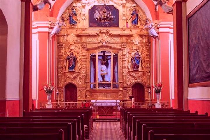 Layla, 23 — Escort in Loma del Jacal (Loma de las Mangas), Mexico