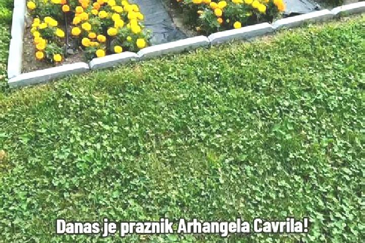 Layla, 23 — Escort in Rakovica, Serbia