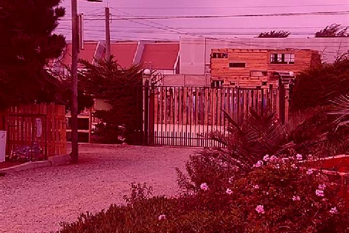 Layla, 24 — Escort in Las Gaviotas, Chile
