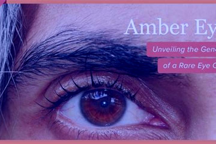 Layla, 25, a red amber-eyed mediterranean companion based in Kabala. Offering 69, Travel Companion, Prostate Massage. Available for incall and outcall, overn...