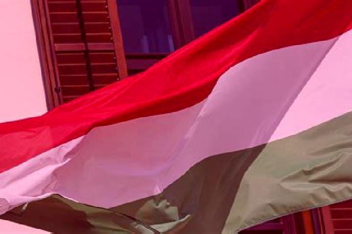 Layla, 25, a red green-eyed european companion based in Hirschau. Offering Erotic Massage, Duos, Tantra, 69. Available for incall and outcall, day and evenin...