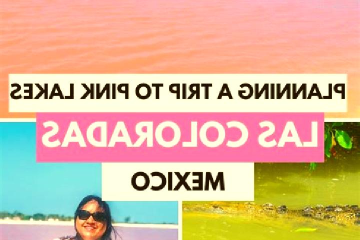 Layla, 25 — Escort in Las Coloradas, Mexico