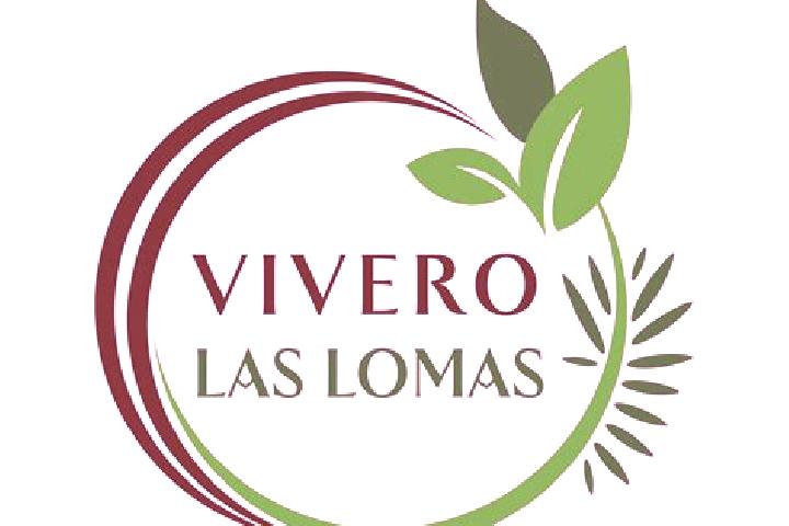 Layla, 26 — Escort in Fronton Vivero, Mexico