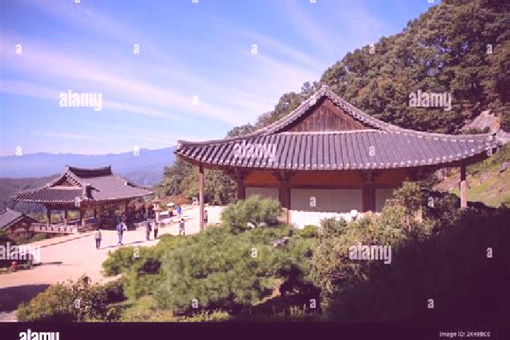 Layla, 26 — Escort in Yeongju, South Korea