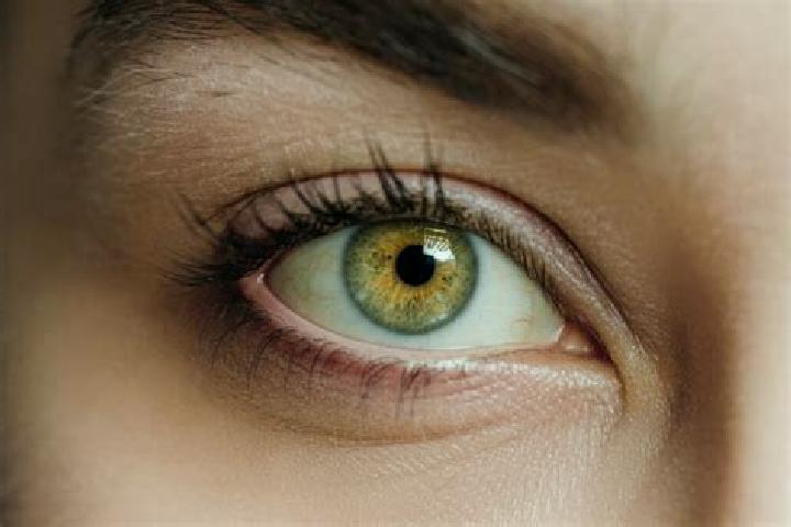 Layla, 27, a chestnut hazel-eyed mixed companion based in Eckenroth. Offering GFE, Fetish, Massage, CIM. Available for incall and outcall, overnight bookings...