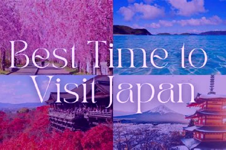 Layla, 27 — Escort in Hiwasaura, Japan