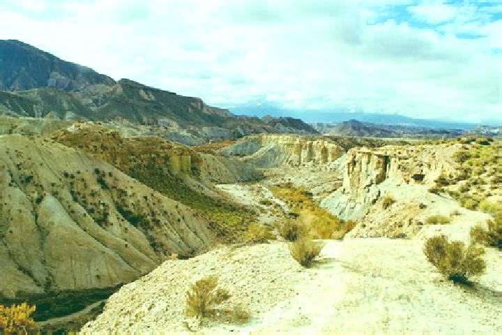 Layla, 29 — Escort in Tabernas, Spain