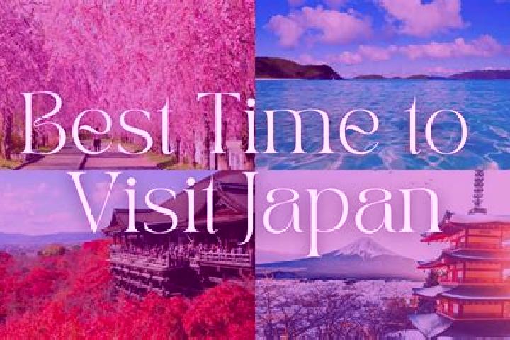Layla, 31 — Escort in Tanashicho, Japan