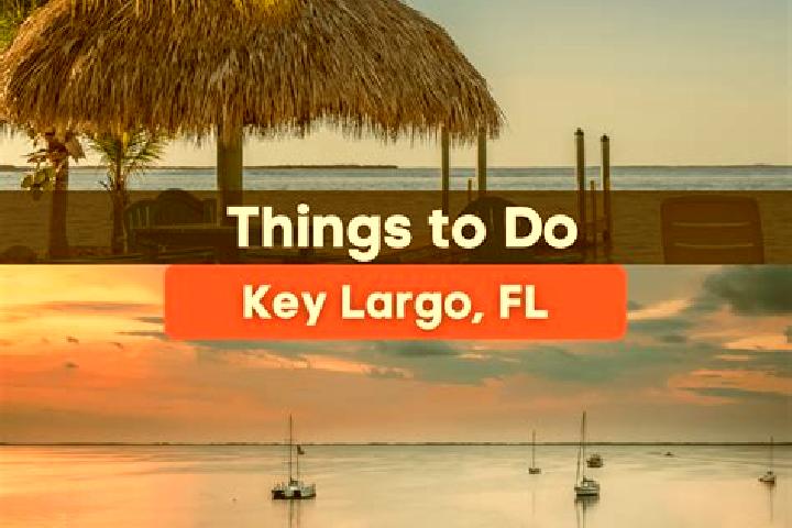 Layla, 32, a auburn amber-eyed ebony companion based in Key Largo. Offering Deep French Kissing, Overnight, Erotic Massage. Available for incall and outcall,...