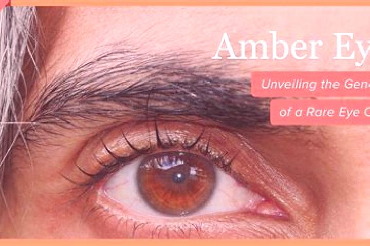 Layla, 32, a red amber-eyed european companion based in Muara Bulian. Offering Dinner Date, Striptease, Deep French Kissing. Available for incall and outcall...
