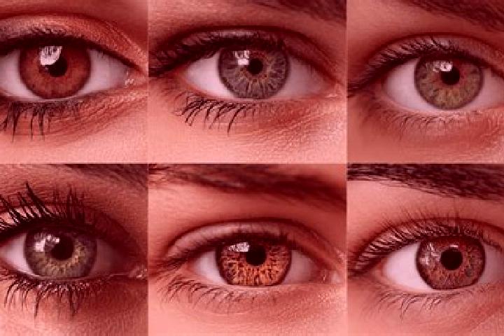 Layla, 32, a red hazel-eyed mediterranean companion based in Taochang. Offering OWO, CIM, BDSM, Roleplay, Party Girl. Available for incall and outcall, day a...