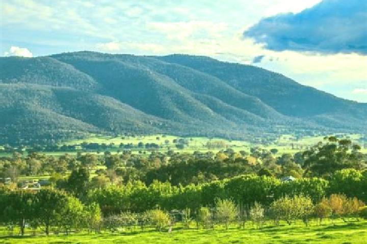 Layla, 32 — Escort in Corryong, Australia