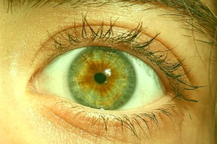 Layla, 33, a red hazel-eyed european companion based in Agliate. Offering Fetish, GFE, OWO, Couples. Available for incall and outcall, overnight bookings ava...