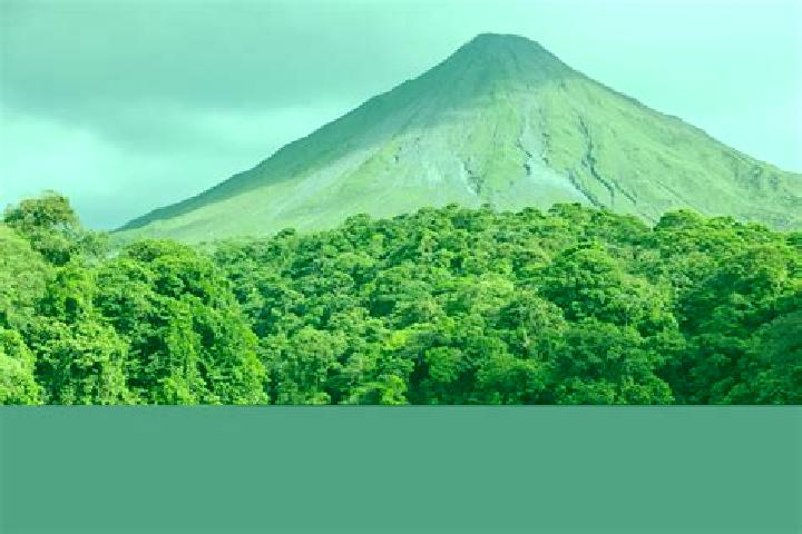Layla, 35 — Escort in Arenal, Mexico