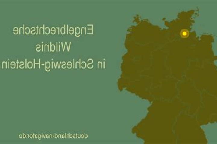 Layla, 35 — Escort in Engelbrechtsche Wildnis, Germany